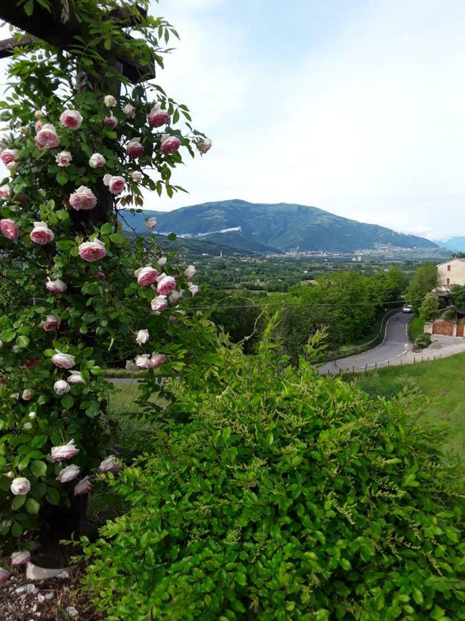 Locanda Bellavista Cavaso Del Tomba المظهر الخارجي الصورة